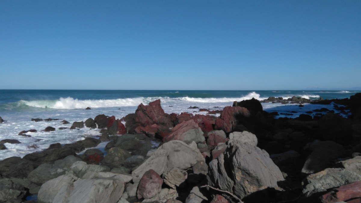 Vote for councillors who care – local body elections 2019&nbsp;﻿